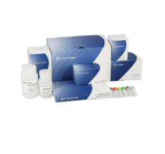 qPCR耗材相關(guān)產(chǎn)品價格調(diào)整