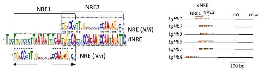 211119-02.png 211119-02.png