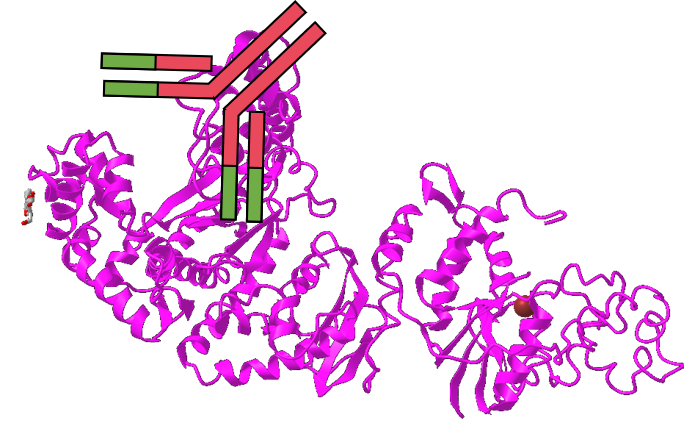 640 (2).png 640 (2).png